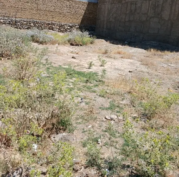 زمین۲۲۰متر میدان انقلاب ناسیونال کوچه ایثار