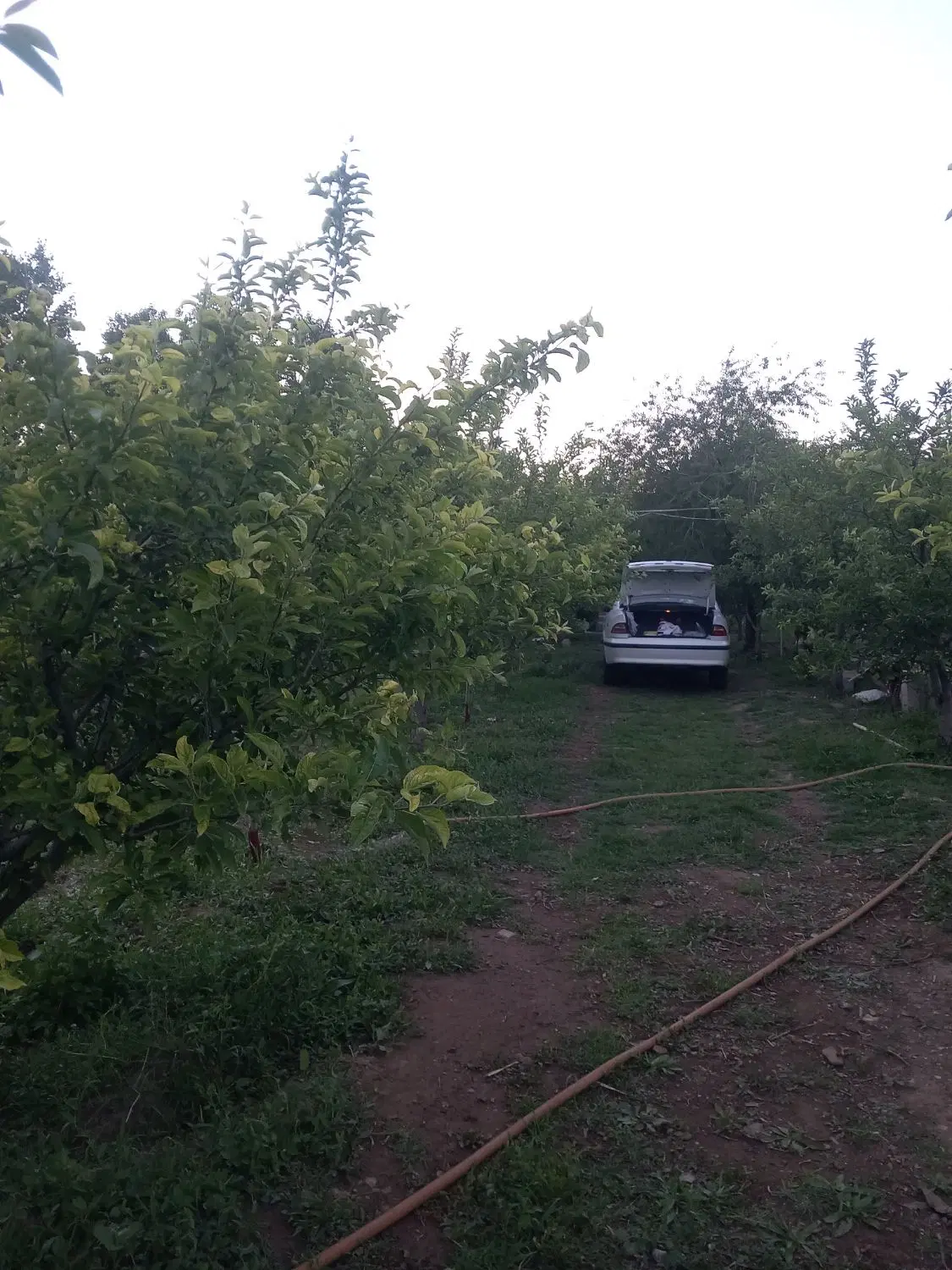 باغ۲هزارمتری در ۵کیلومتری اهر