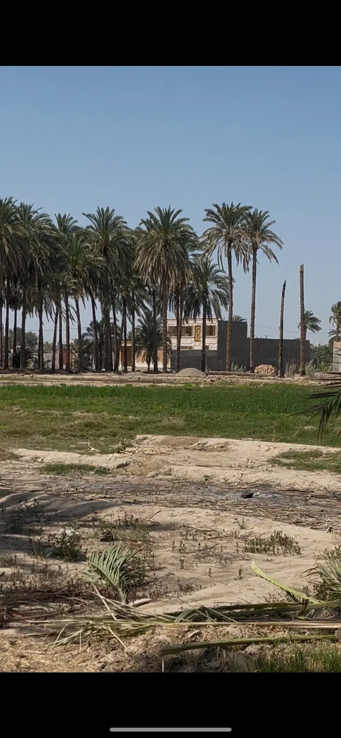 ۲۵۰۰زمین کلینک اعظم خانی متری ۲ میلیون