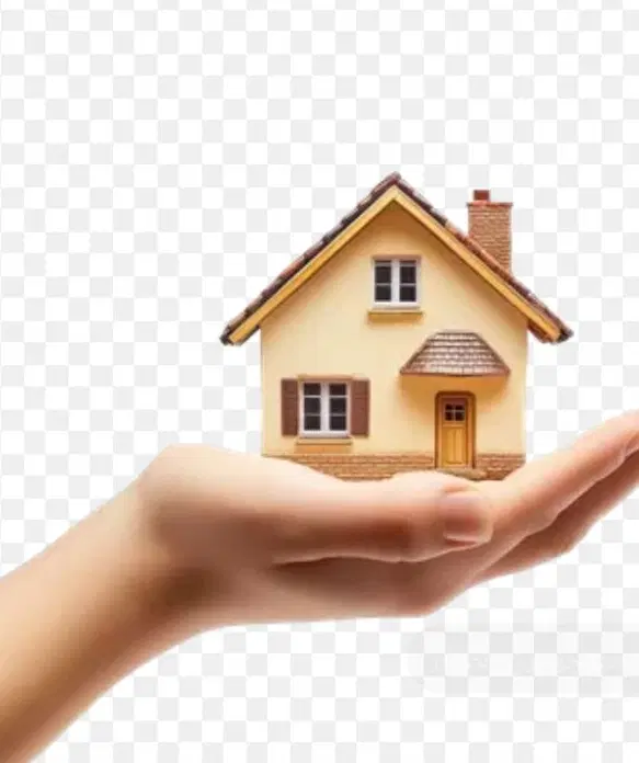 نیازمند به یک هم خونه