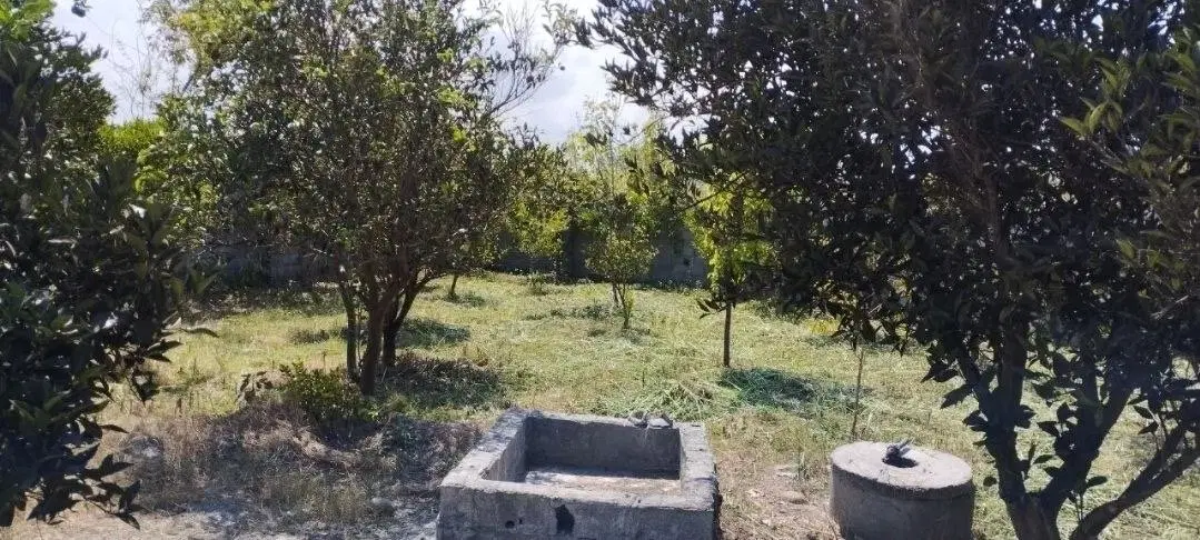 باغ مرکبات ۲۰ساله بارده با آب و برق و گاز
