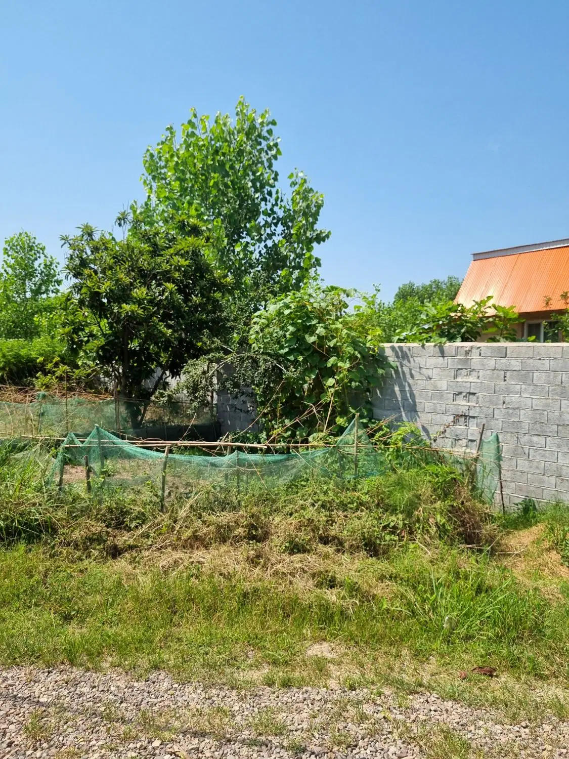 زمین مسکونی رودبنه پهمدان