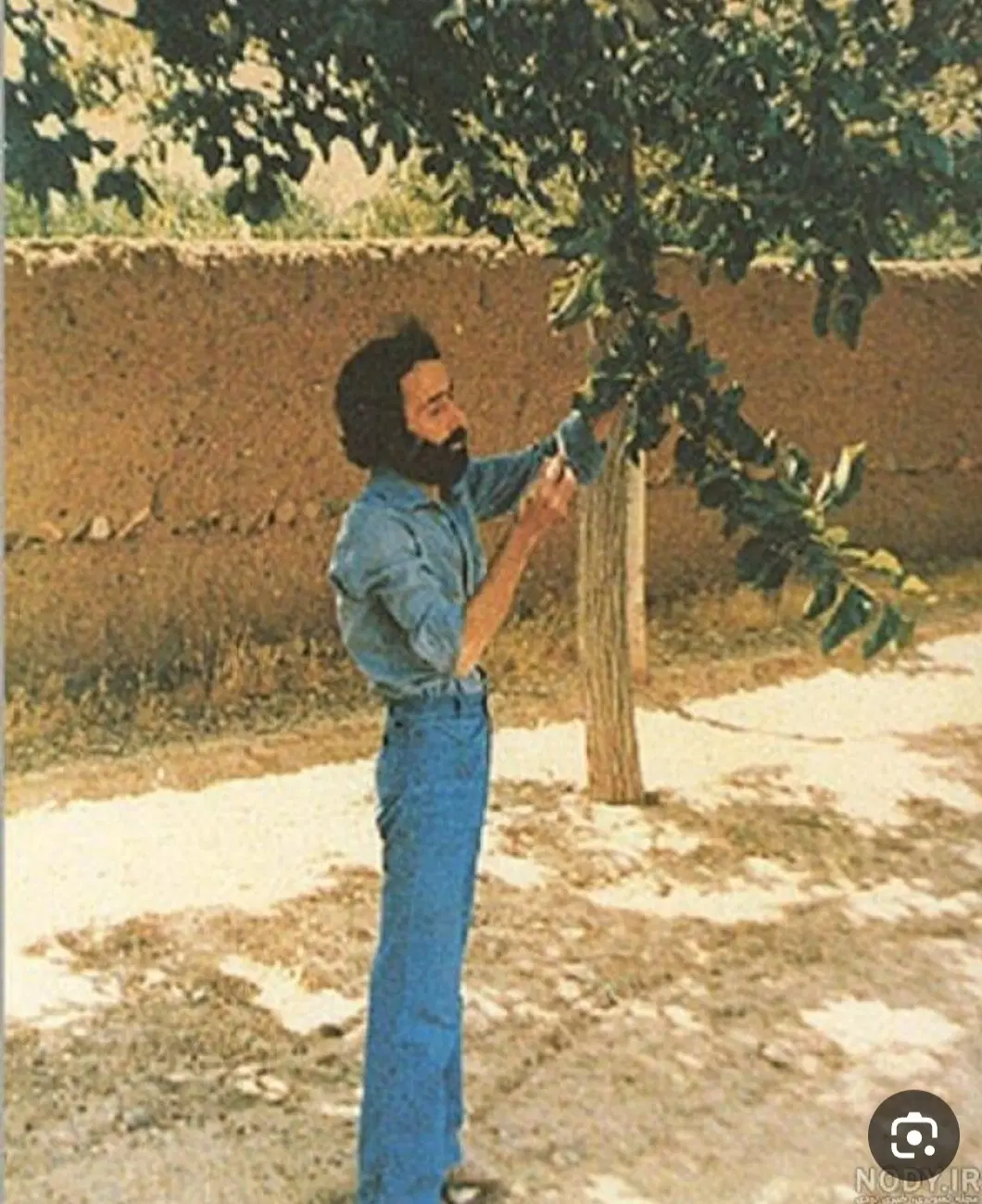 زمین باغچه پشت شهرک صنوف قاضی