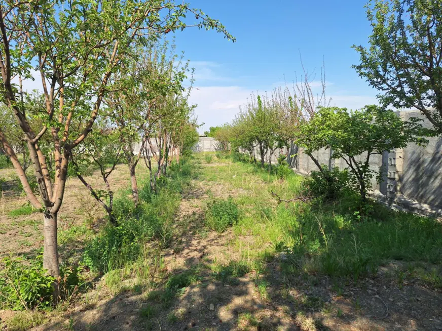 باغ ۲۴۰۰متری سندار با درختای ۲۰تا۳۰ساله سر سه نبش