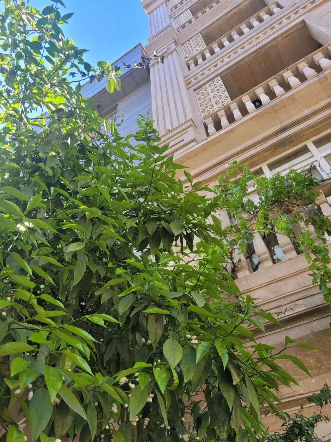 آپارتمان ۱۱۸ متر