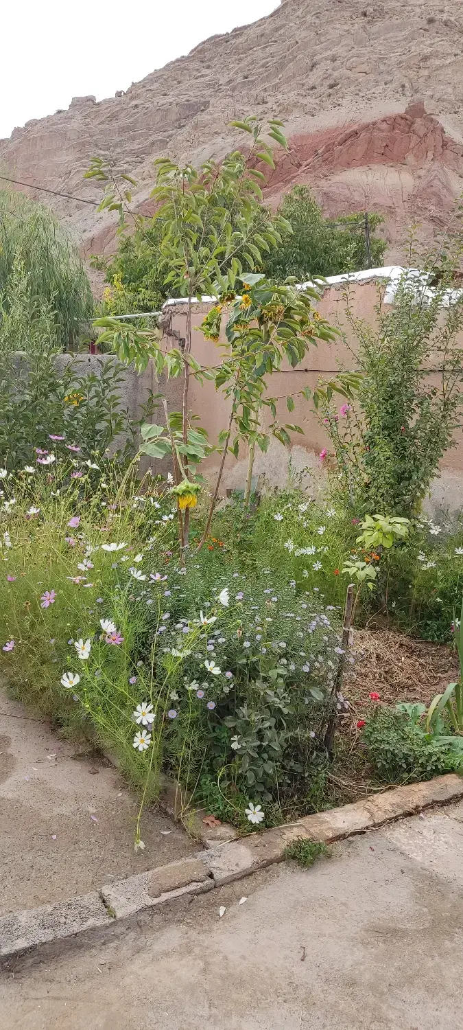 ملک و زمین باغی بهترین نقطه سرانزا فیروزکوه معاوضه