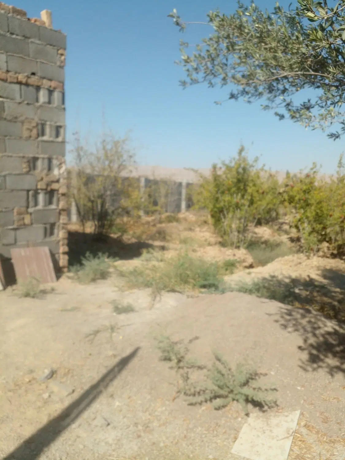 باغچه چهاردیواری