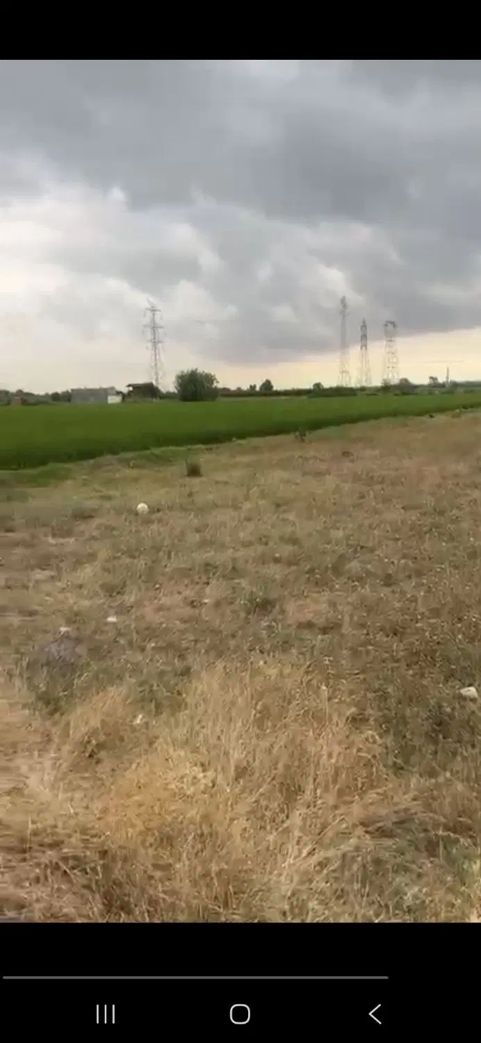 زمین کشاورزی
