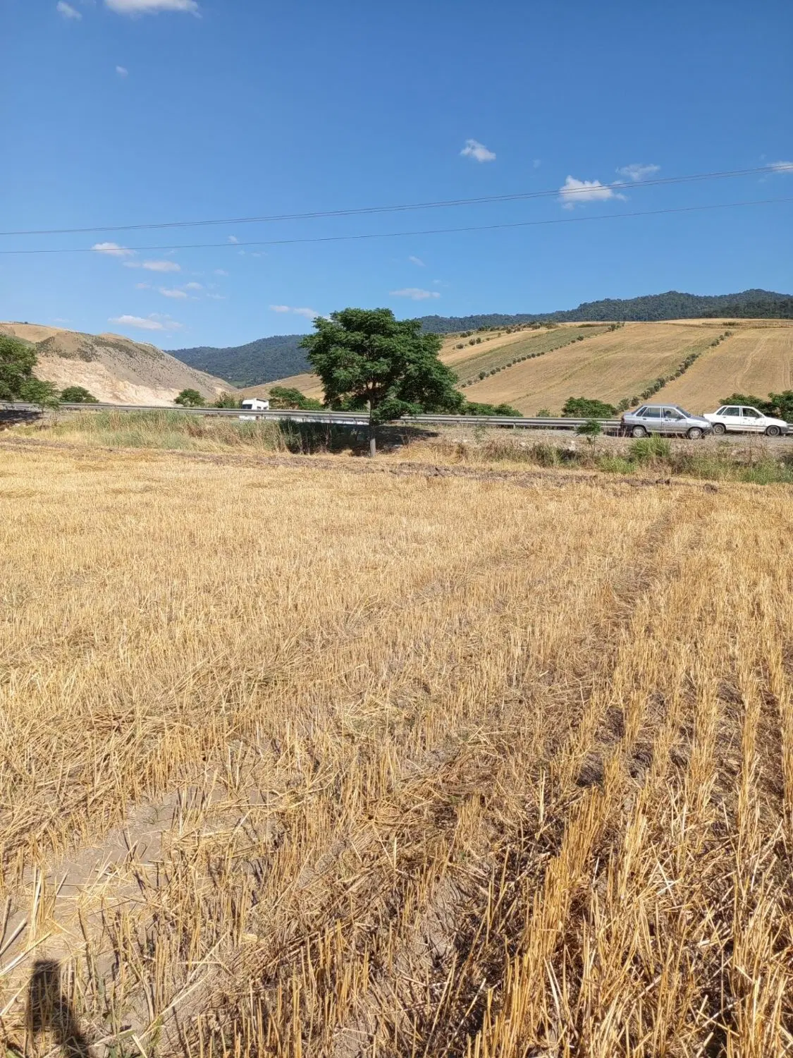 اجاره زمین کشاورزی 7500 منر