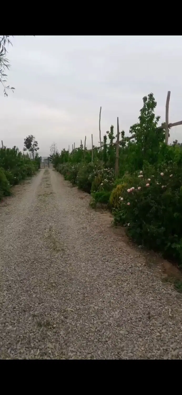 باغ ترشنبه
