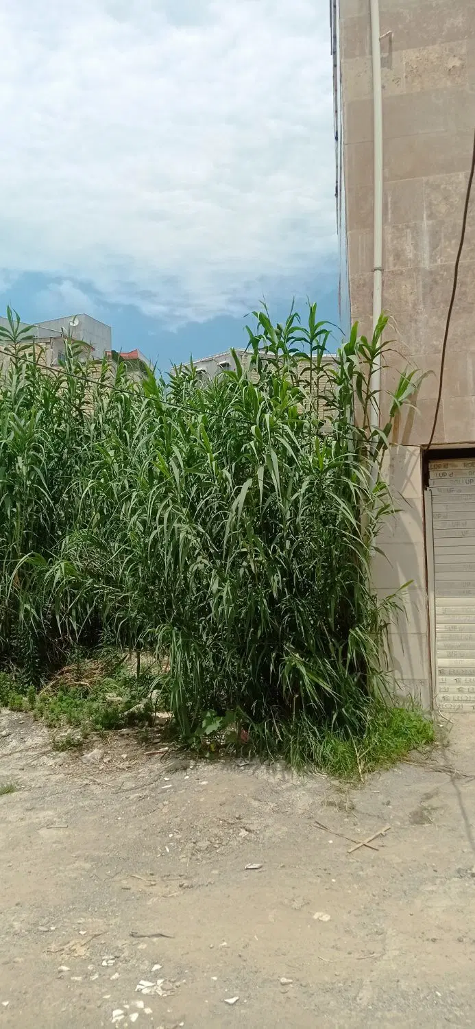 زمین مسکونی 160 متری