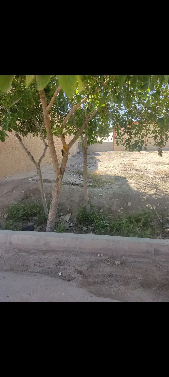 زمین فروشی
