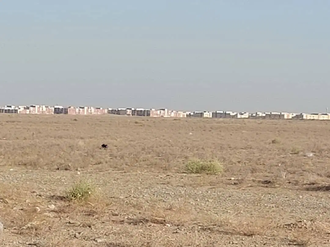 زمین اراضی صیادک زاهدان