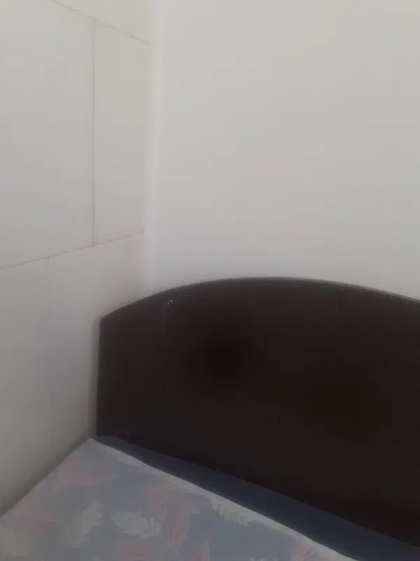 نیازمند همخانه