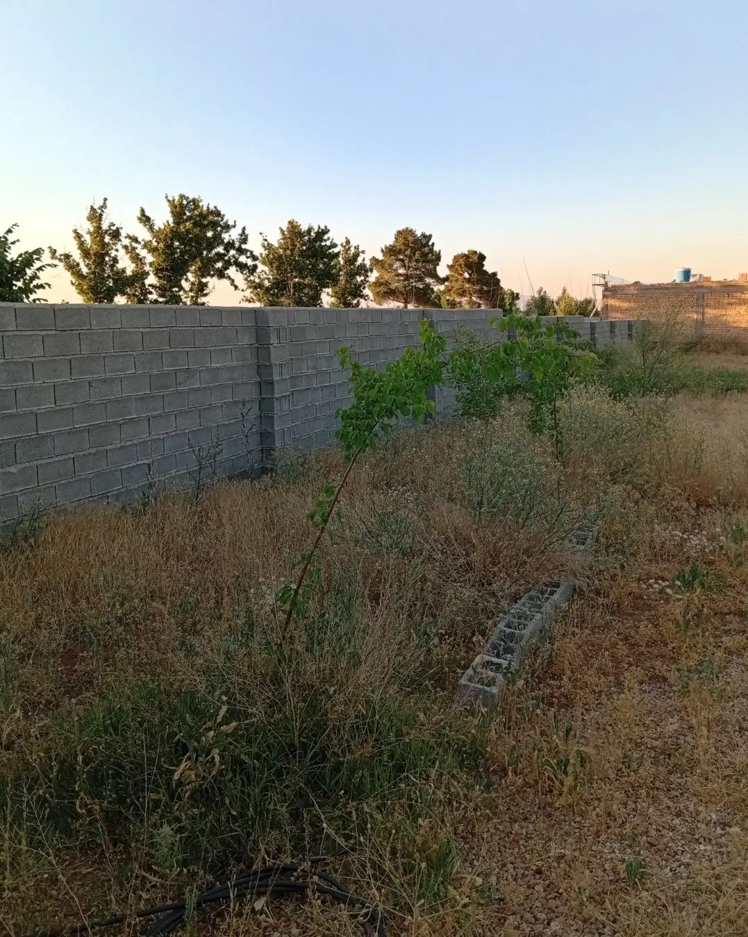 باغشهری ۱۰۰۰ متر قره چمن