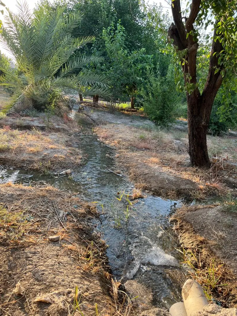 باغ جاده منصوریه