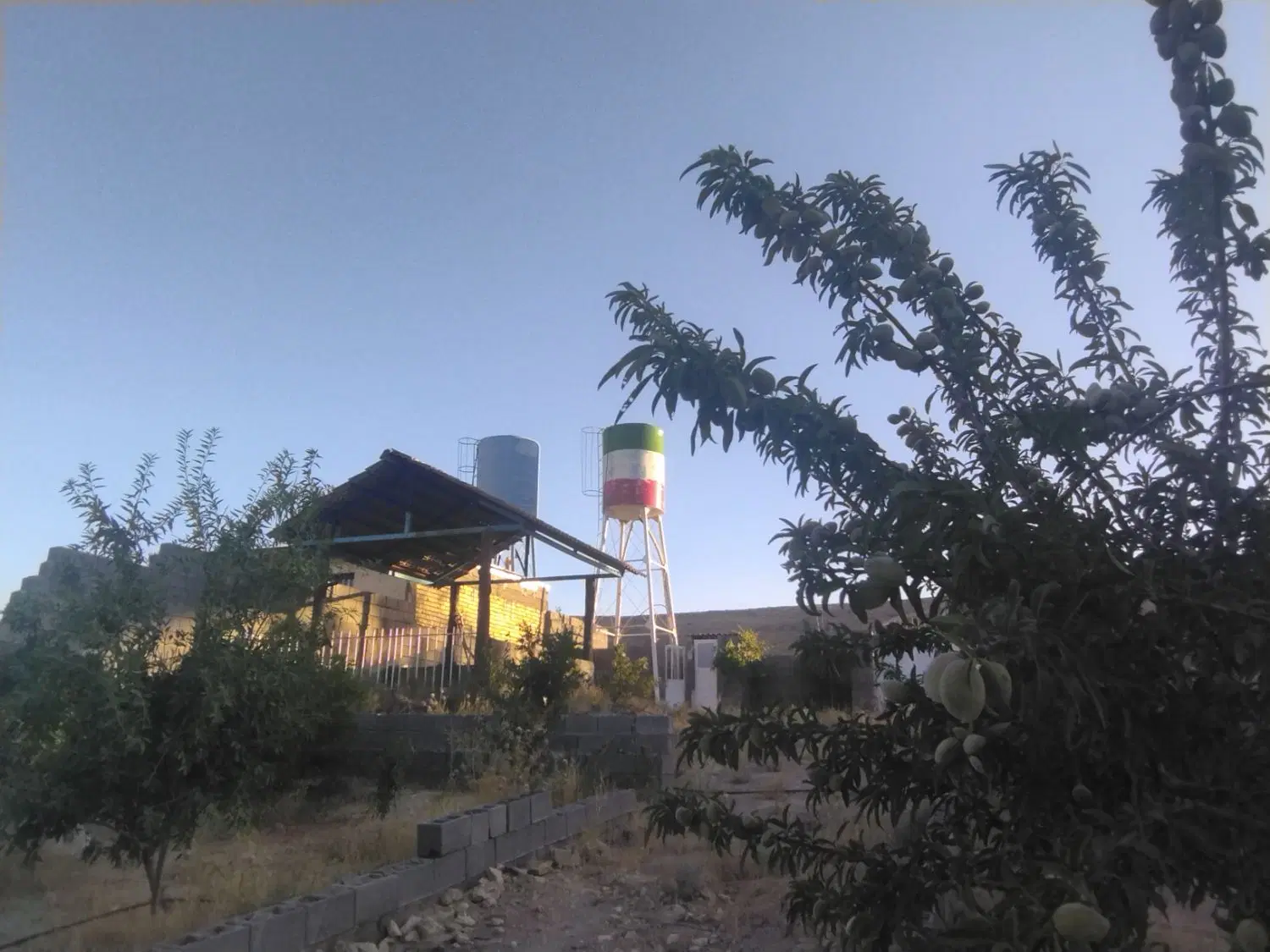 باغ باغشهر قلات