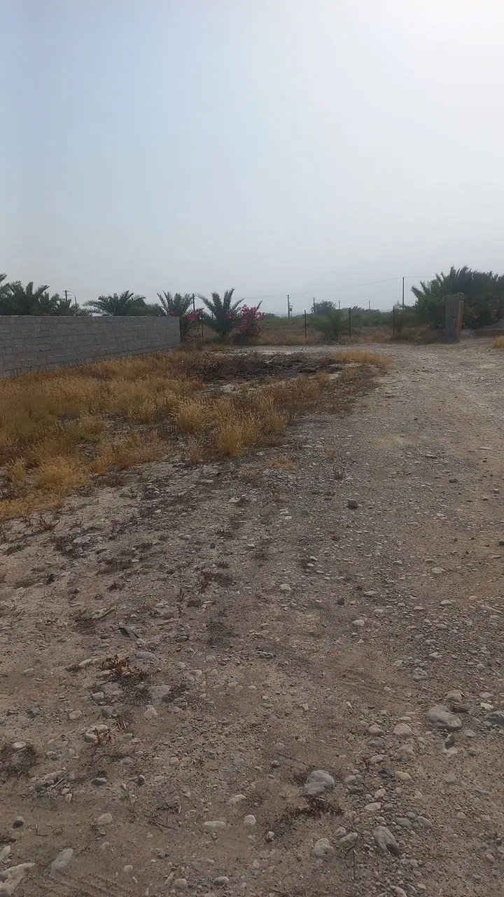 ۴۰۰ متر زمین سرخون