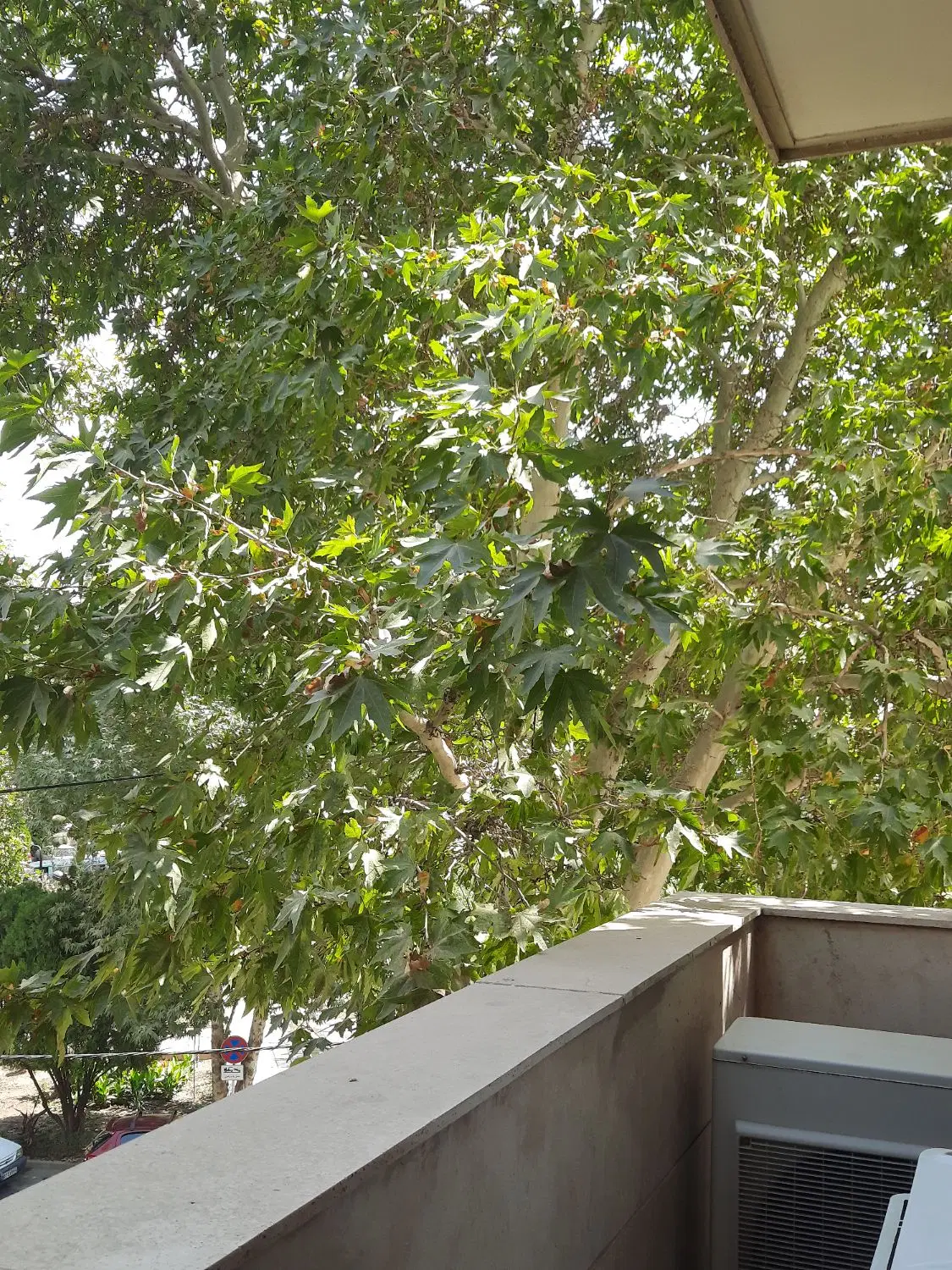 ۱۴۰مترسکونت چندساله خونه باغی ابتدای گلستان مهرشهر