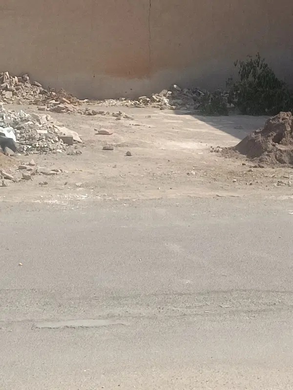 ۲۰۰قصب زمین کشاورزی شاهرخ آباد