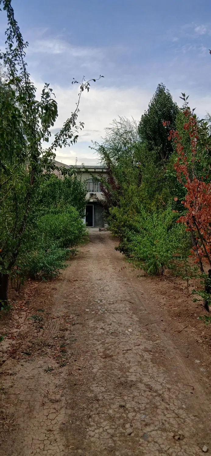 فروش باغ