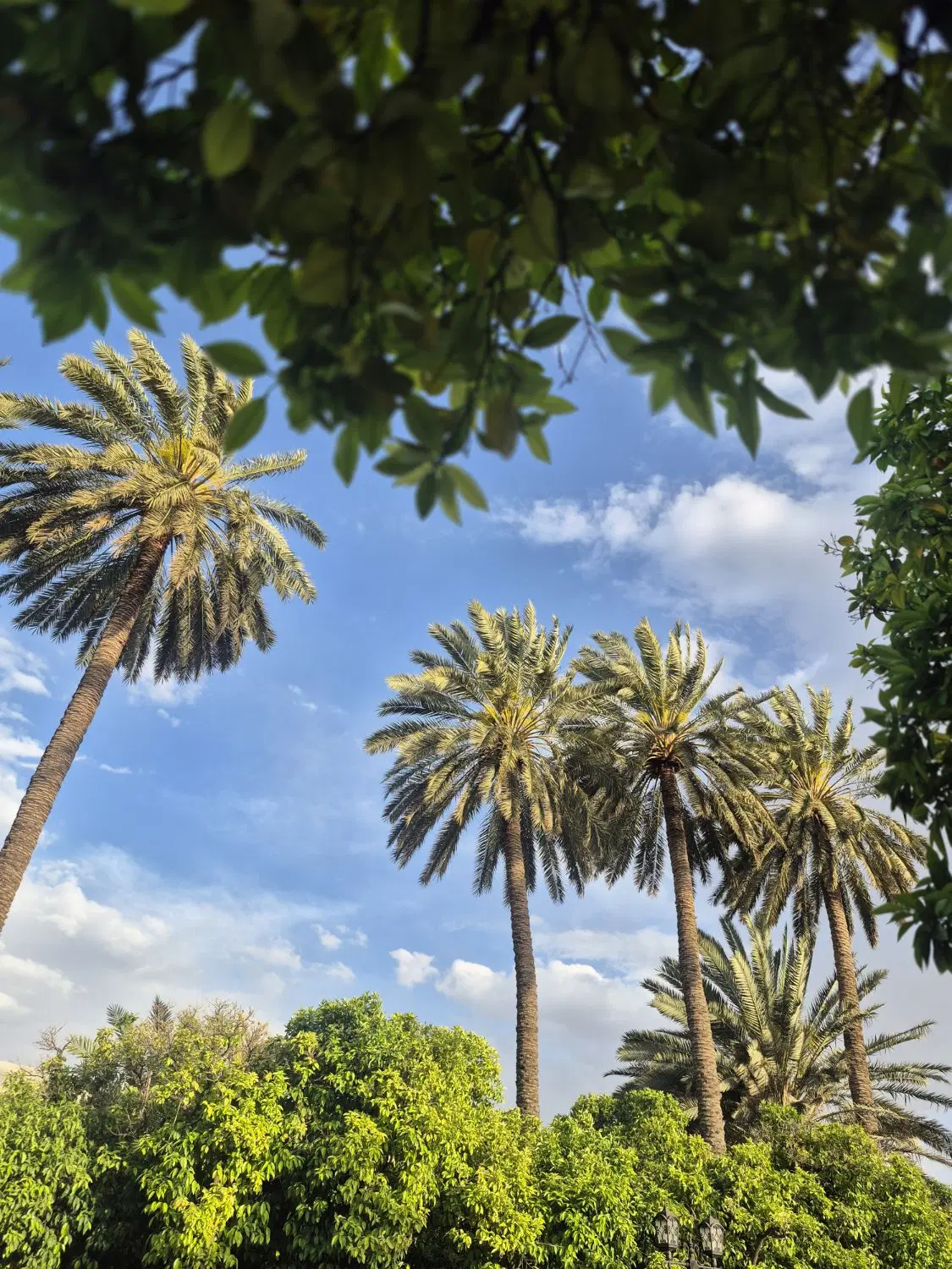 فروش زمین باغی ۱۰۰۰ متری