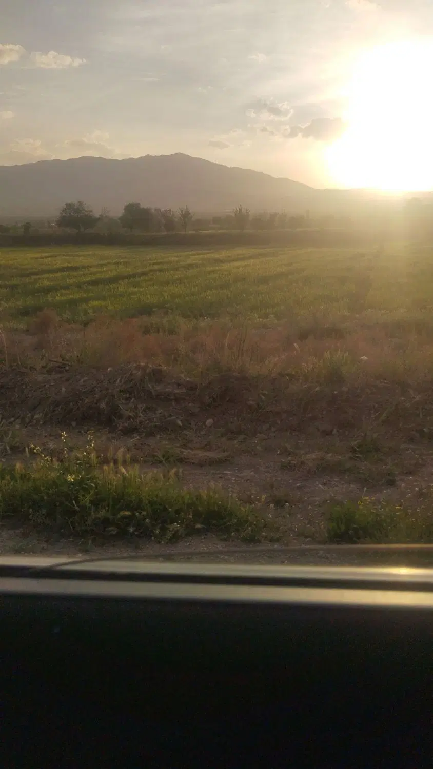 زمین کشاورزی سند شش دانگ رباط محمود