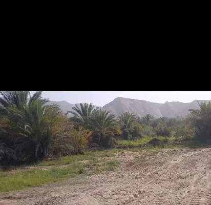 فروش خانه