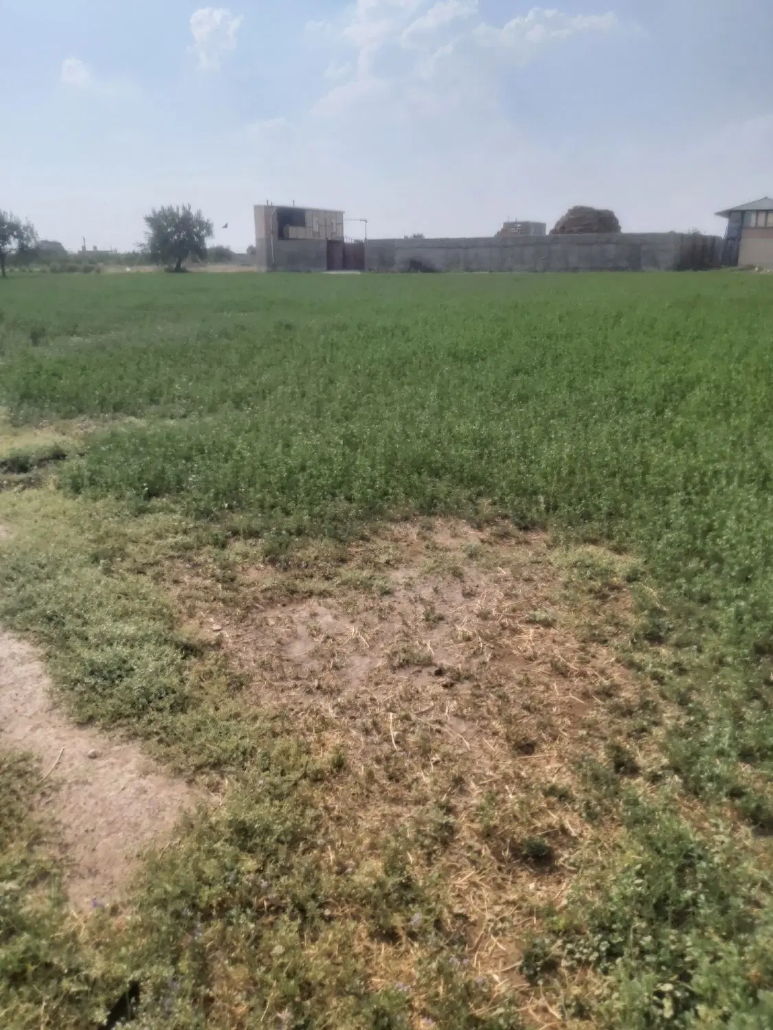 زمین کم متراژ ۲۳۳۰ متر با سند ششدانگ