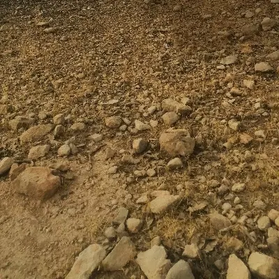 زمین بسیجیان