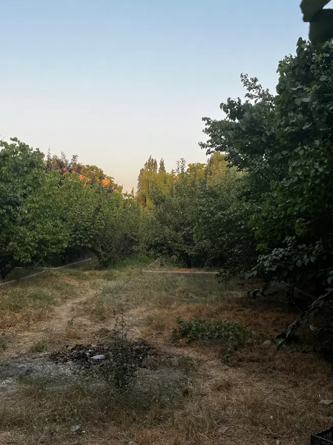 ۱۰۵۰متر بهکام ناز_سنقرآباد_مالک هستم