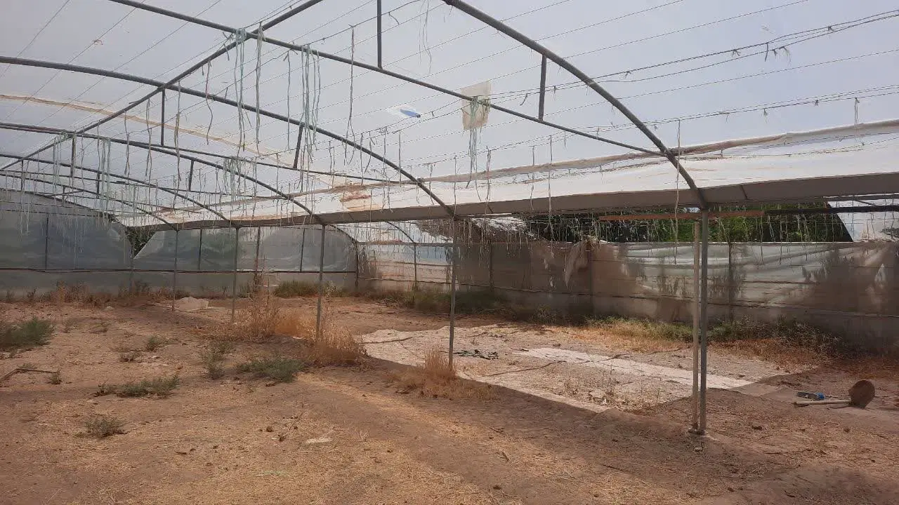 اسکلت گلخانه