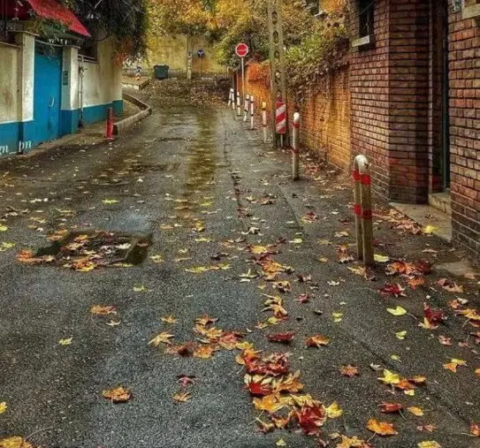 بالای بوستان سعدی بر خیابان رودکی