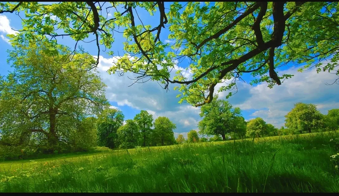 یک قطعه زمین به مساحت 157متر