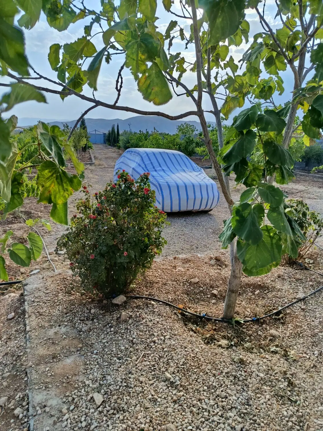 فروش باغشهری متراژ1200متر درابپرده