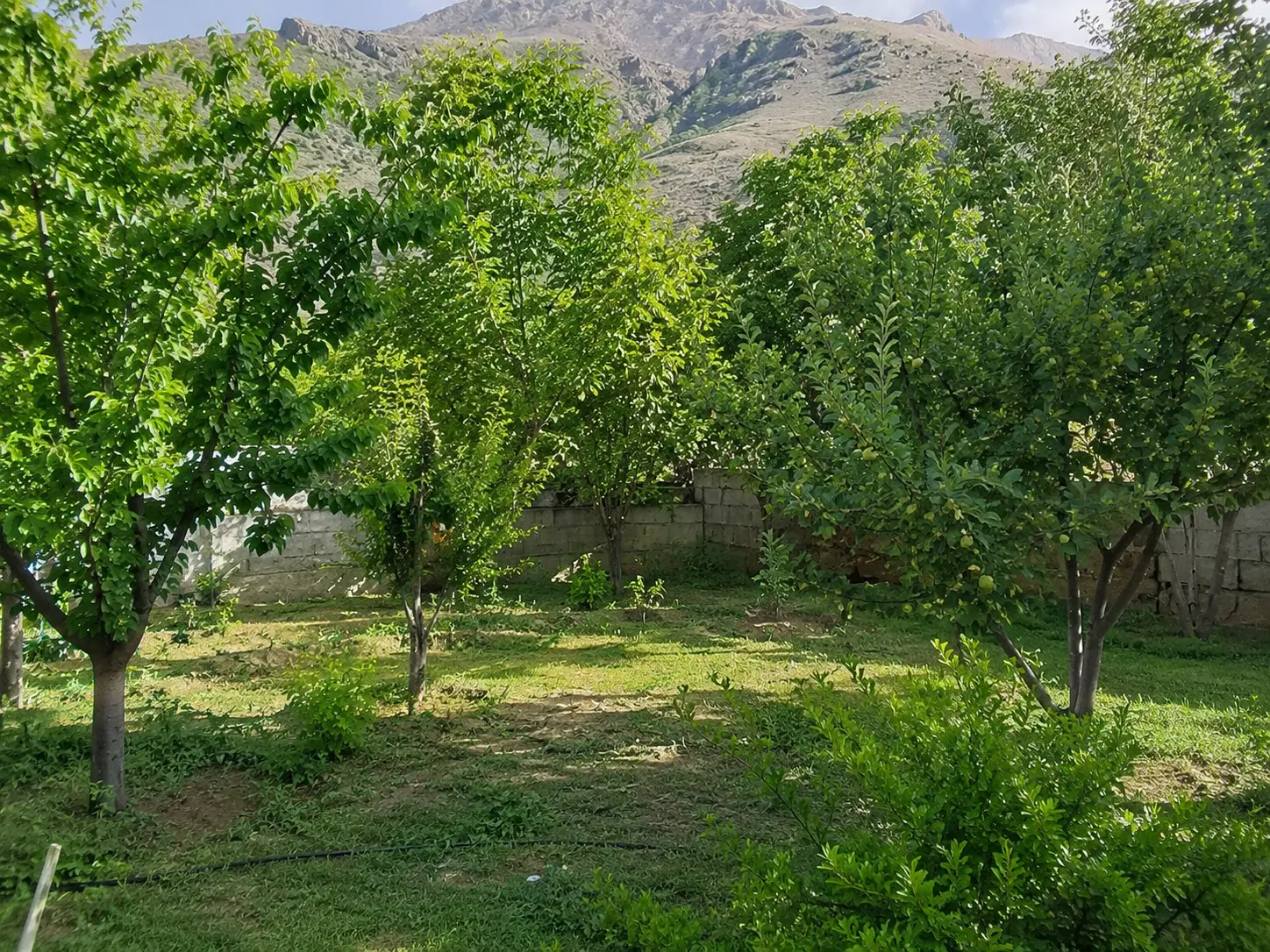 باغ لواسان