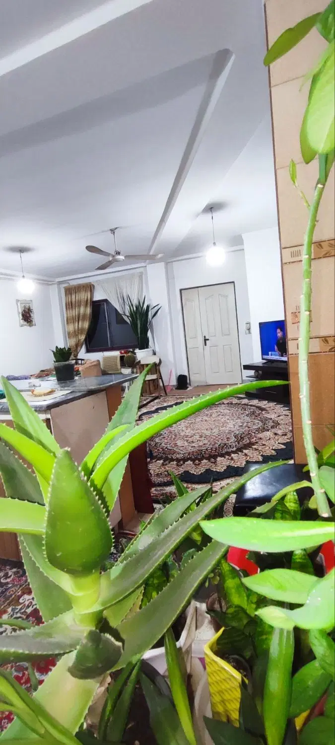 رهن و اجاره