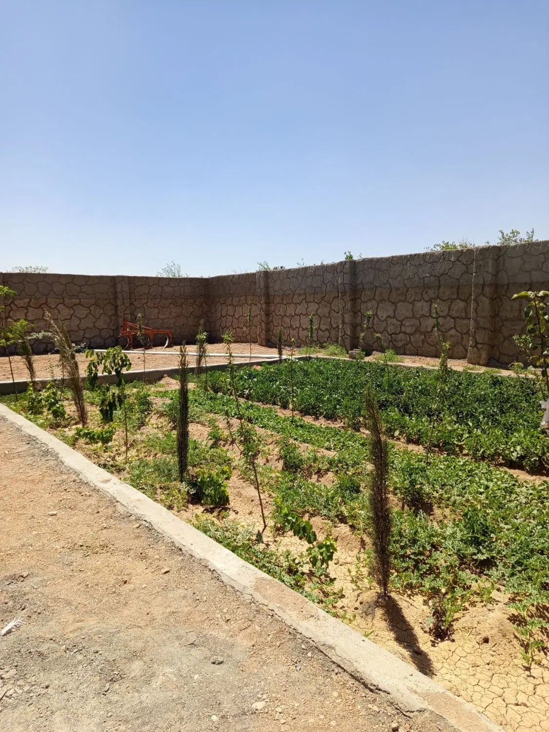 باغ نقلی