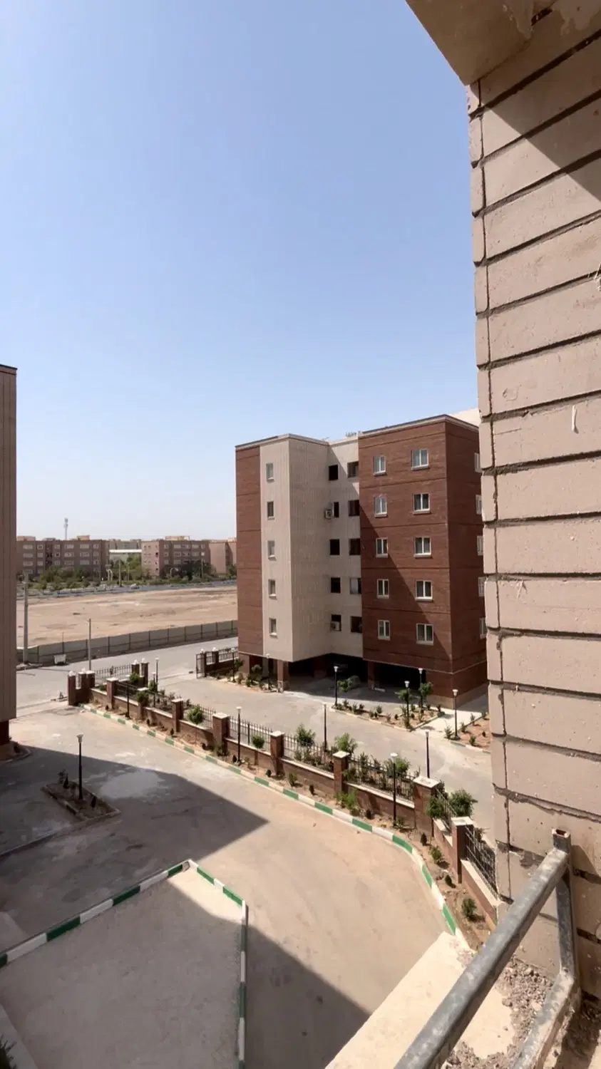 زیتون نوساز