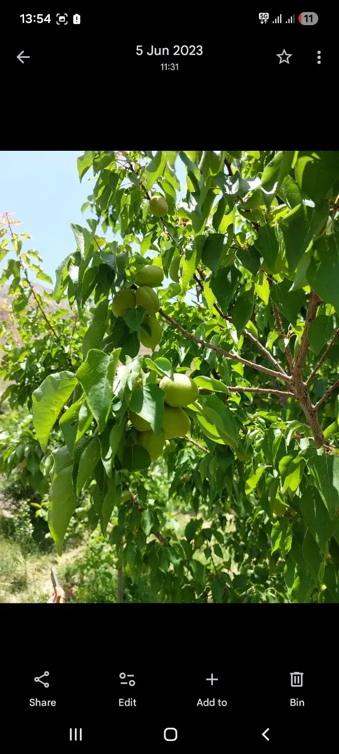 باغ ۲۰۰۰ متری در دیباج