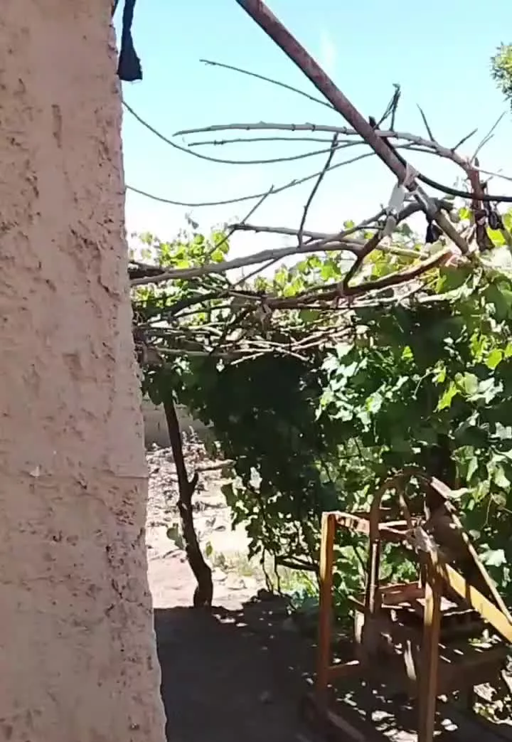 منزل فروشی شهرستان هیرمند