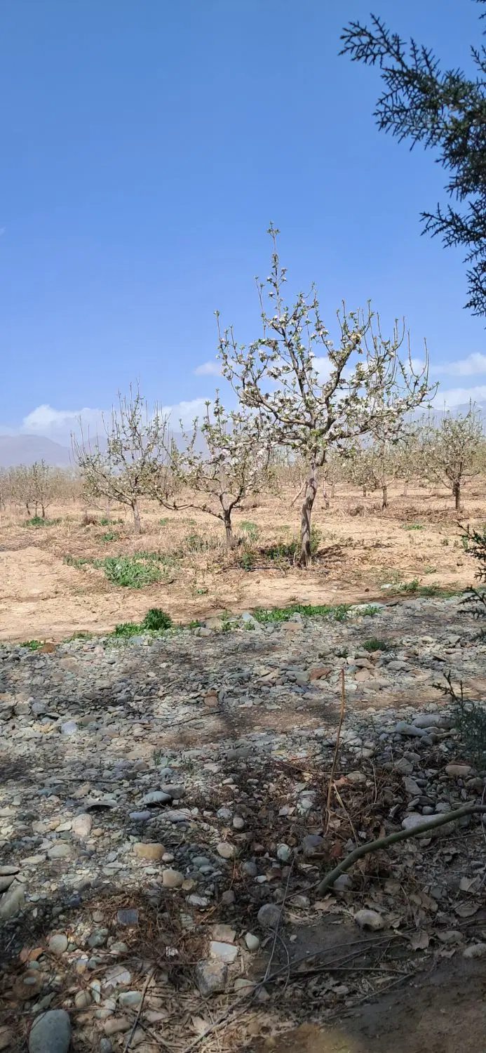 زمین فروشی