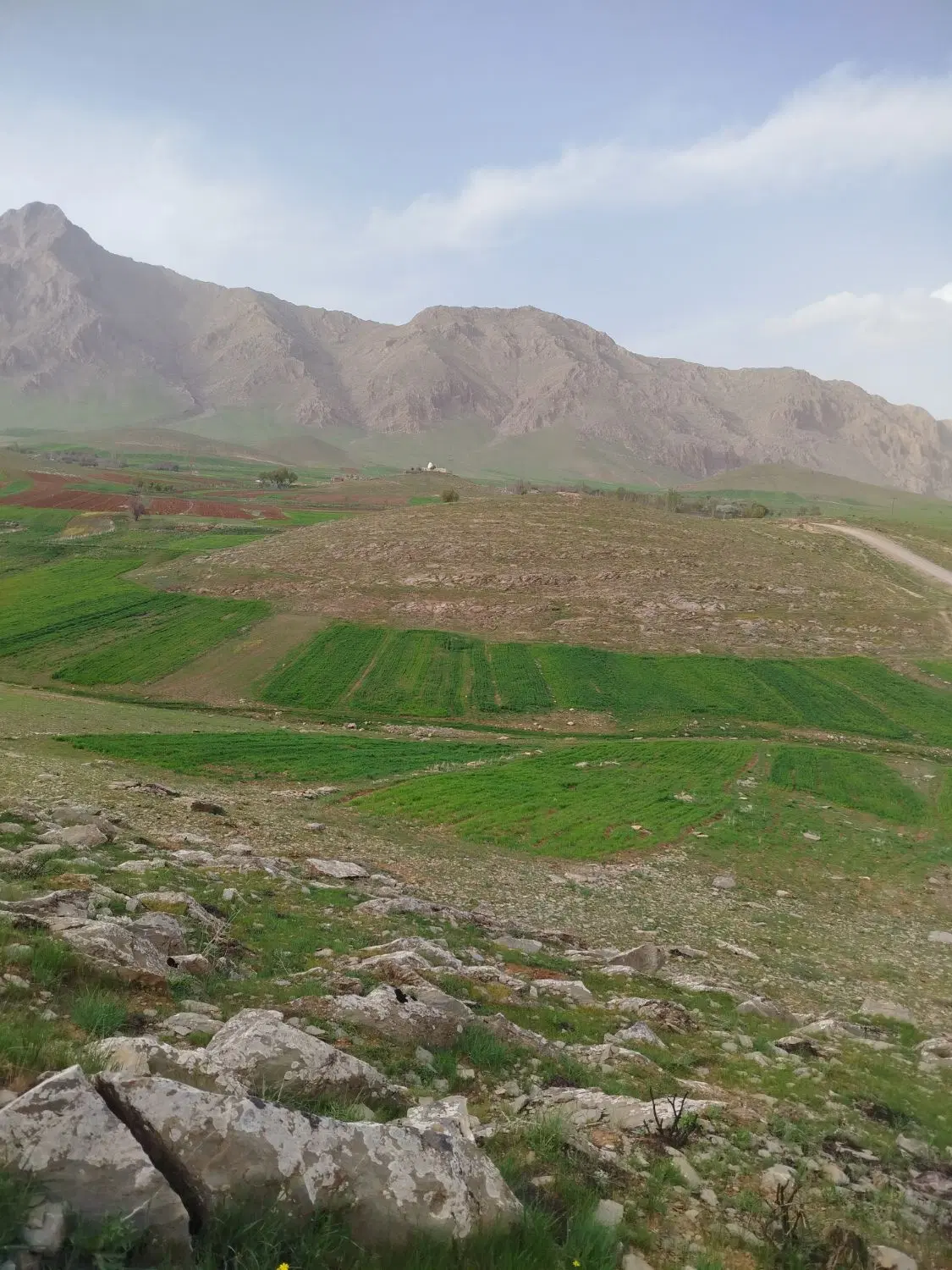 زمین کشاورزی درجه یک