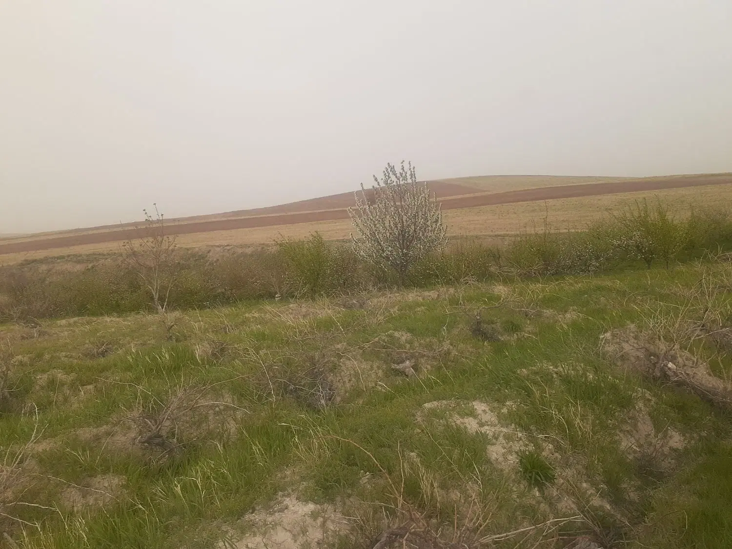 باغ پرآب