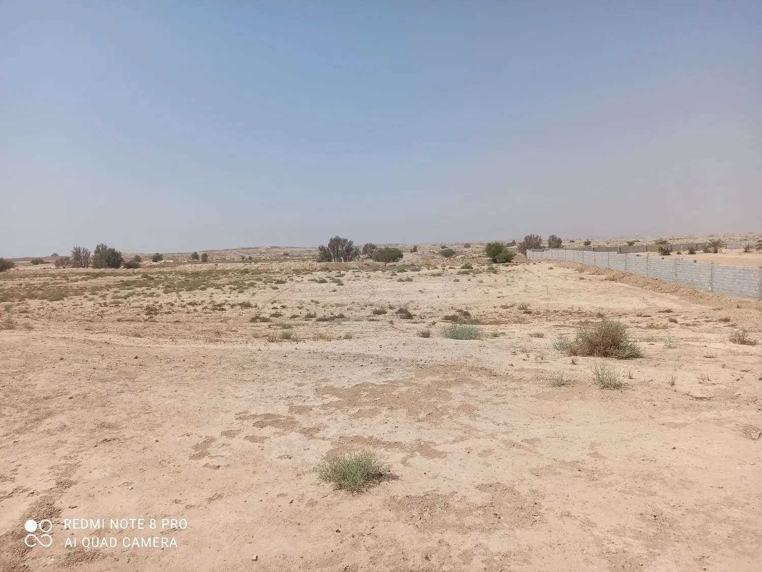 زمین سر خیابان کافه رایز