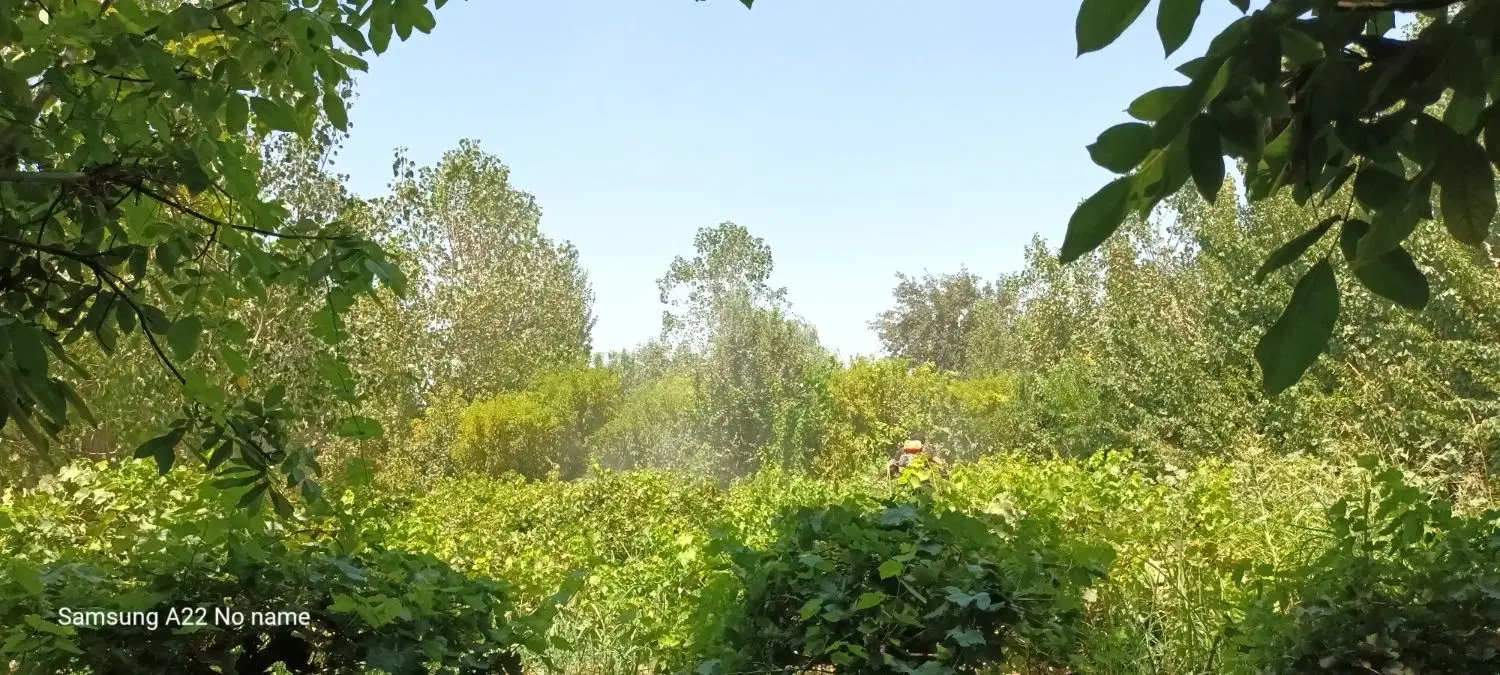 باغ ۳هزار متر