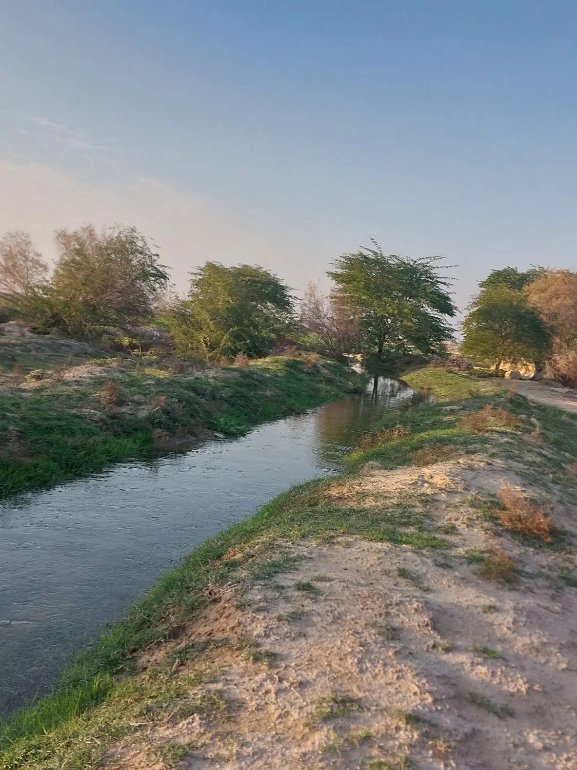 زمین باغی مجتمع جمالی