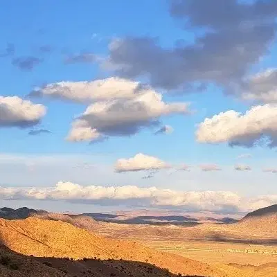 زمین مزروعی