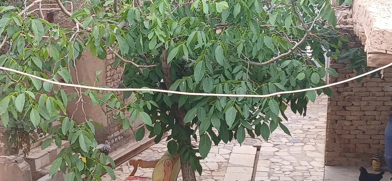 خانه روستای کهک استان قزوین