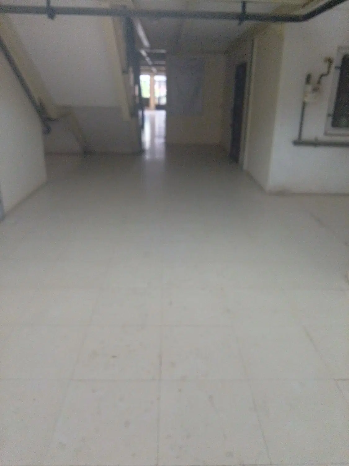 عروس پرند